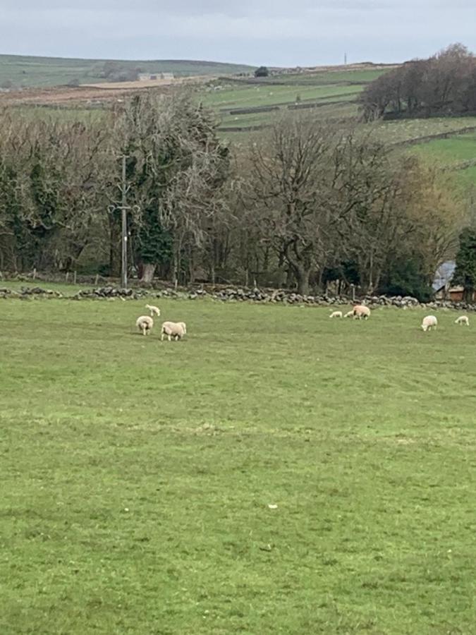 Church Gate Farm Harrogate Kültér fotó